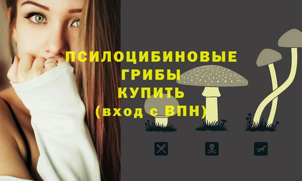 первитин Пестово