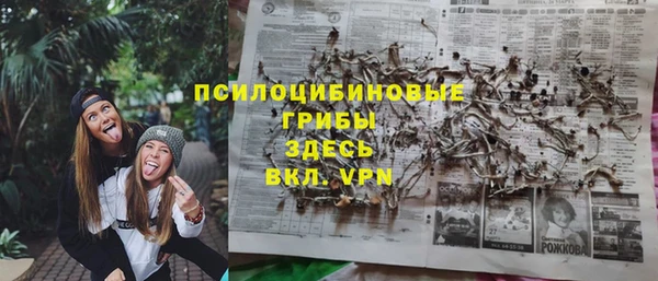 прущая мука Осташков