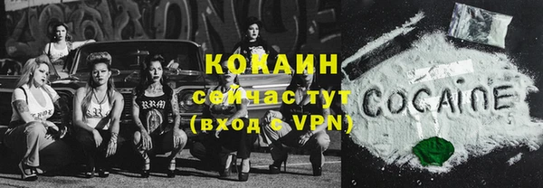 PSILOCYBIN Осинники