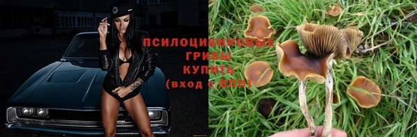 первитин Пестово