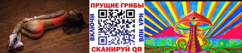 что такое   Сертолово  Галлюциногенные грибы Cubensis 