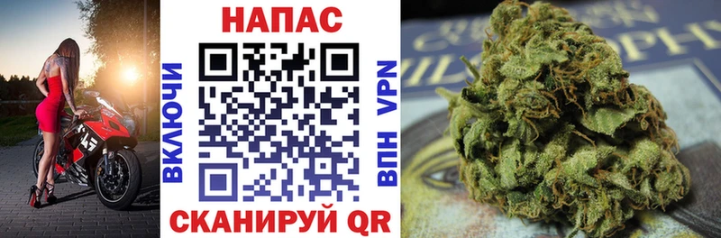 Шишки марихуана индика  Сертолово 